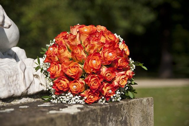 5 Perfect Flowers to Gift Your Girlfriend on Her Birthday