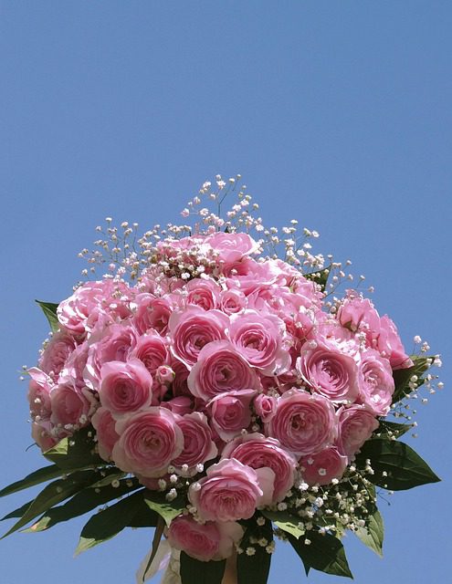 5 Perfect Flowers to Gift Your Girlfriend on Her Birthday